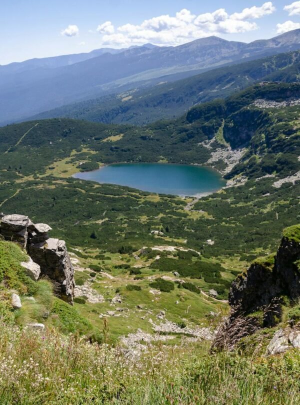 pexels-hristofor-stoyanov-3365972-17887043