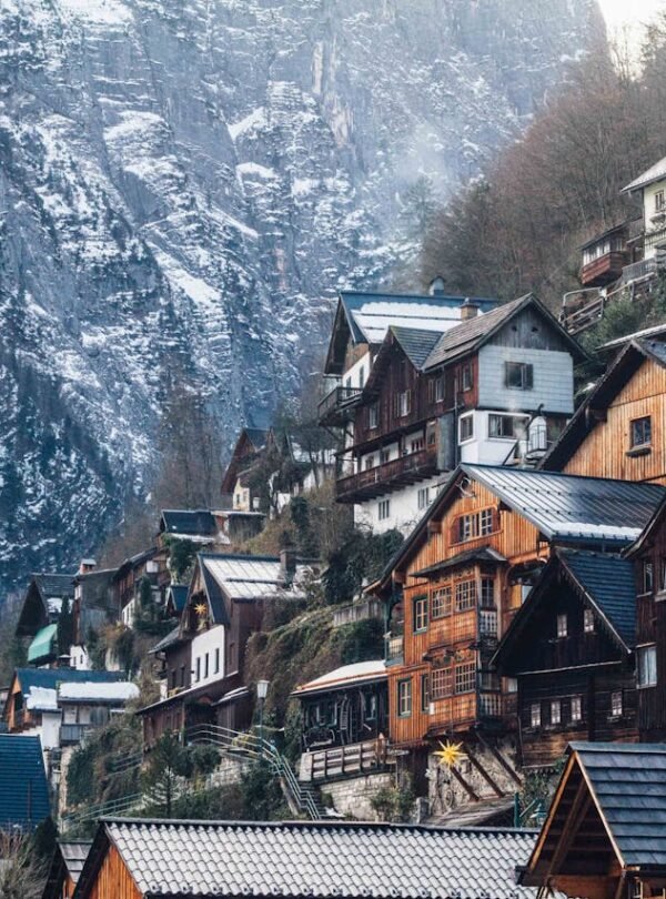 pexels-riciardus-789380